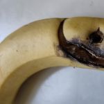 Bananenmonster