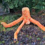 Gebirgsoktopus ohne Tarnung