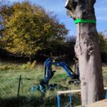 Zaunkönig wird geschnitzt