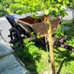 Rennwagen
