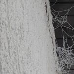 Gefrorenes Spinnennetz